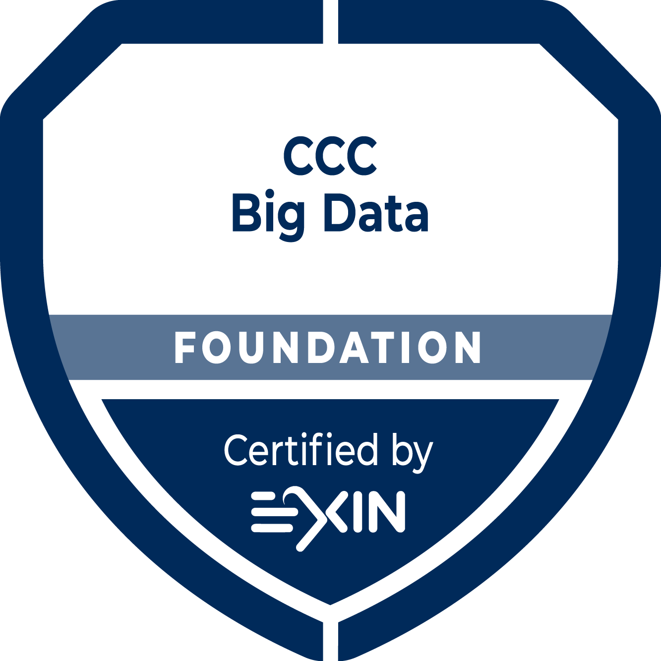 BIG DATA Foundation