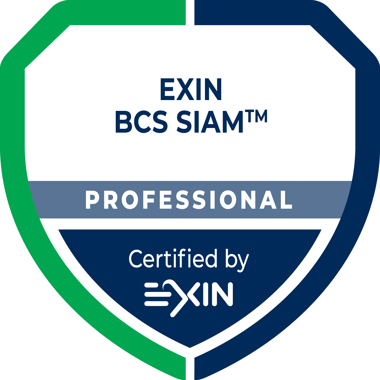 BCS SIAM™ Professional