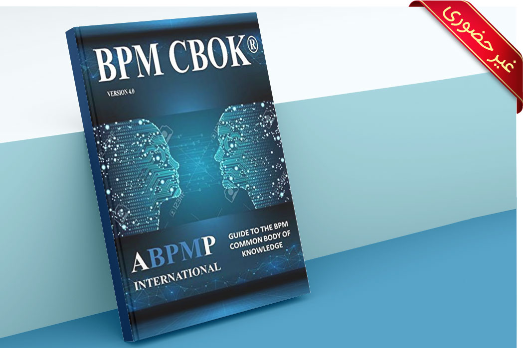 Business Process Management Body of Knowledge (BPM CBOK®) V4