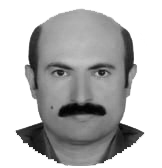 Picture of مهندس کارگر